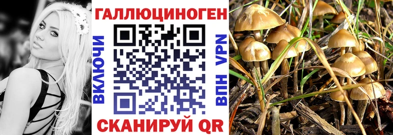 Псилоцибиновые грибы ЛСД Купить закладки Собинка